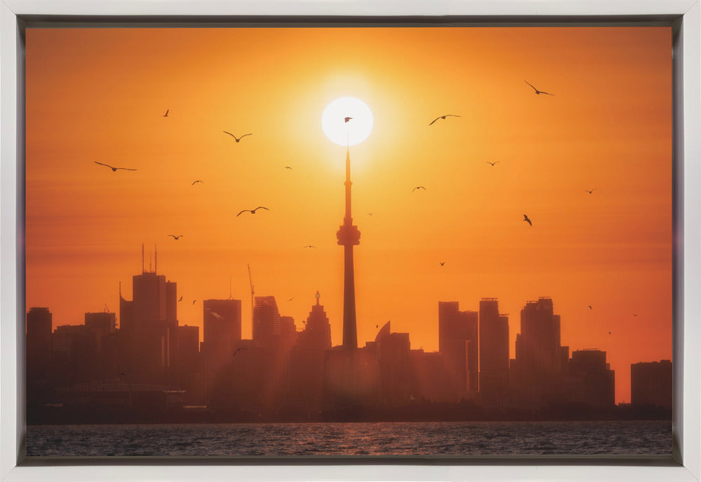 Sun Rising Behind Toronto Canvas Print