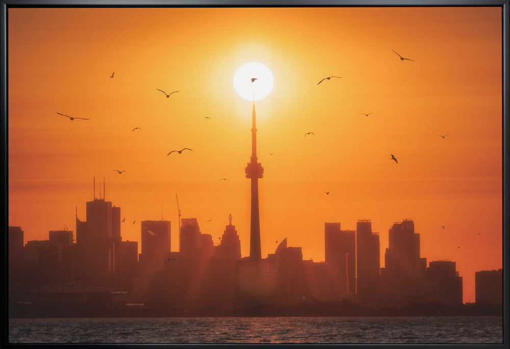 Sun Rising Behind Toronto Canvas Print